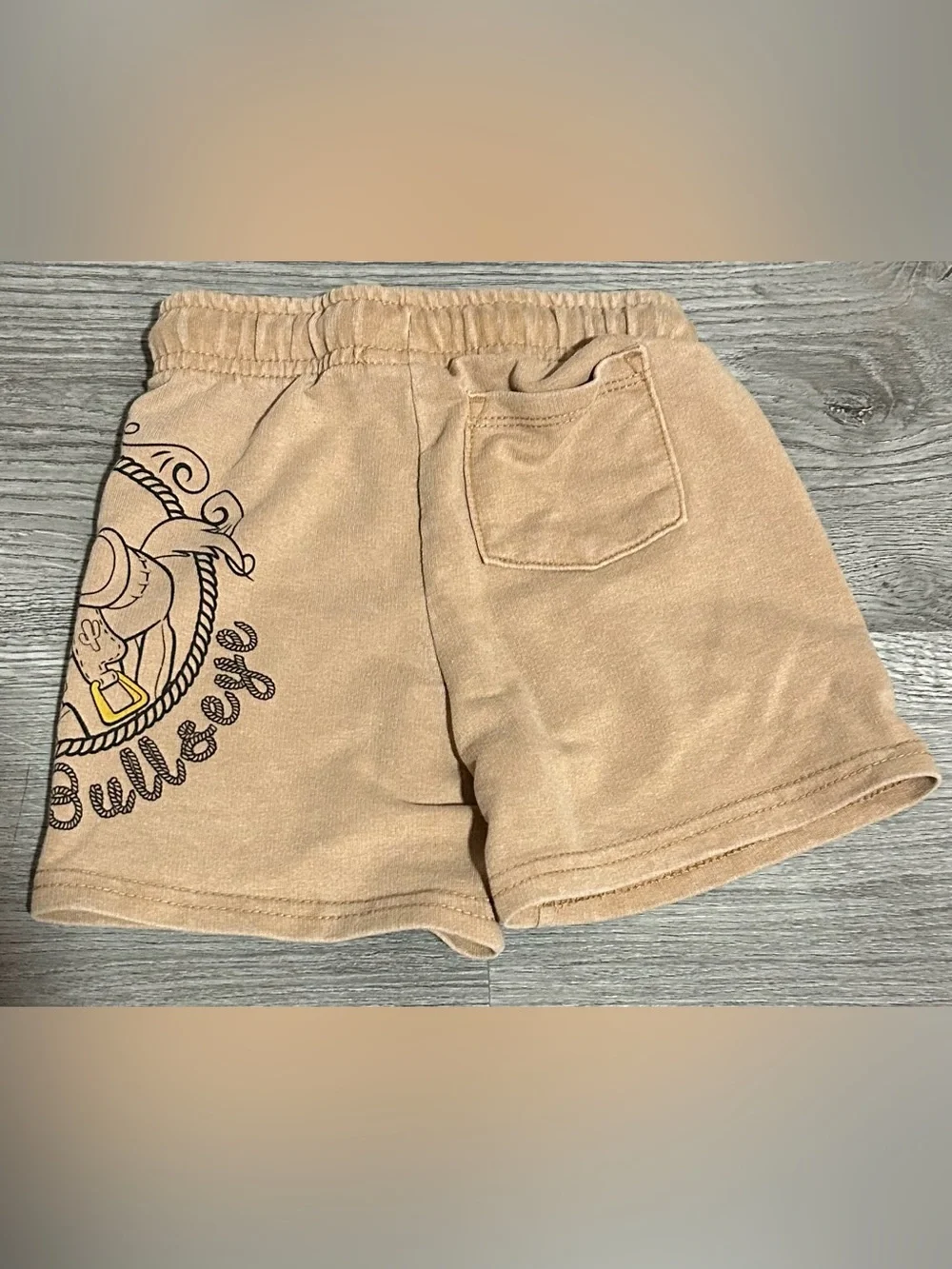 Bullseye Toy Story Shorts 2T